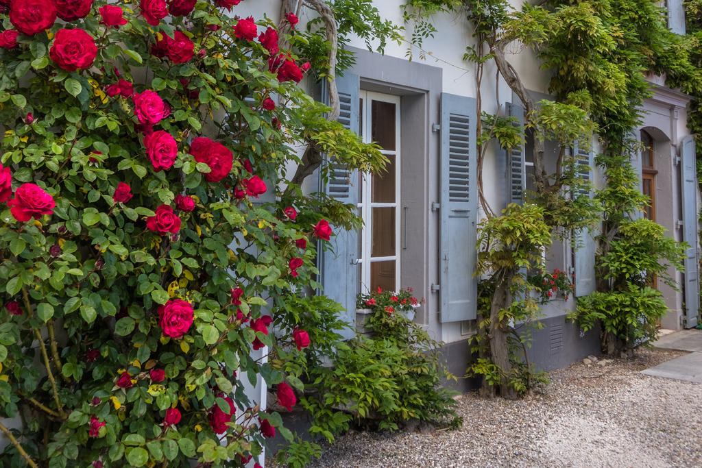 Chateau De Bossey Hotel Bogis-Bossey ภายนอก รูปภาพ