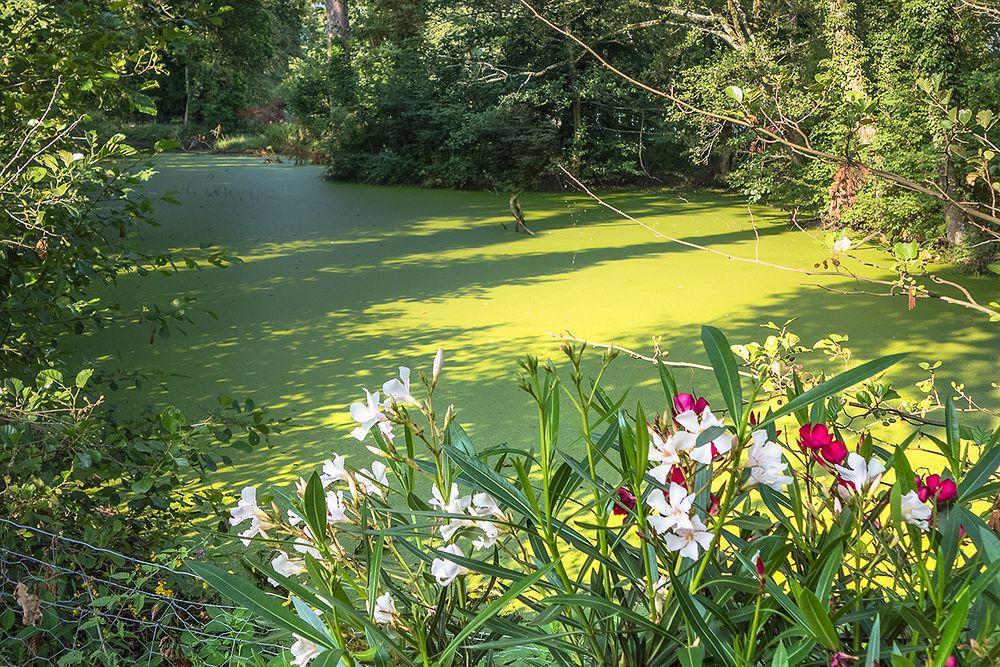 Chateau De Bossey Hotel Bogis-Bossey ภายนอก รูปภาพ