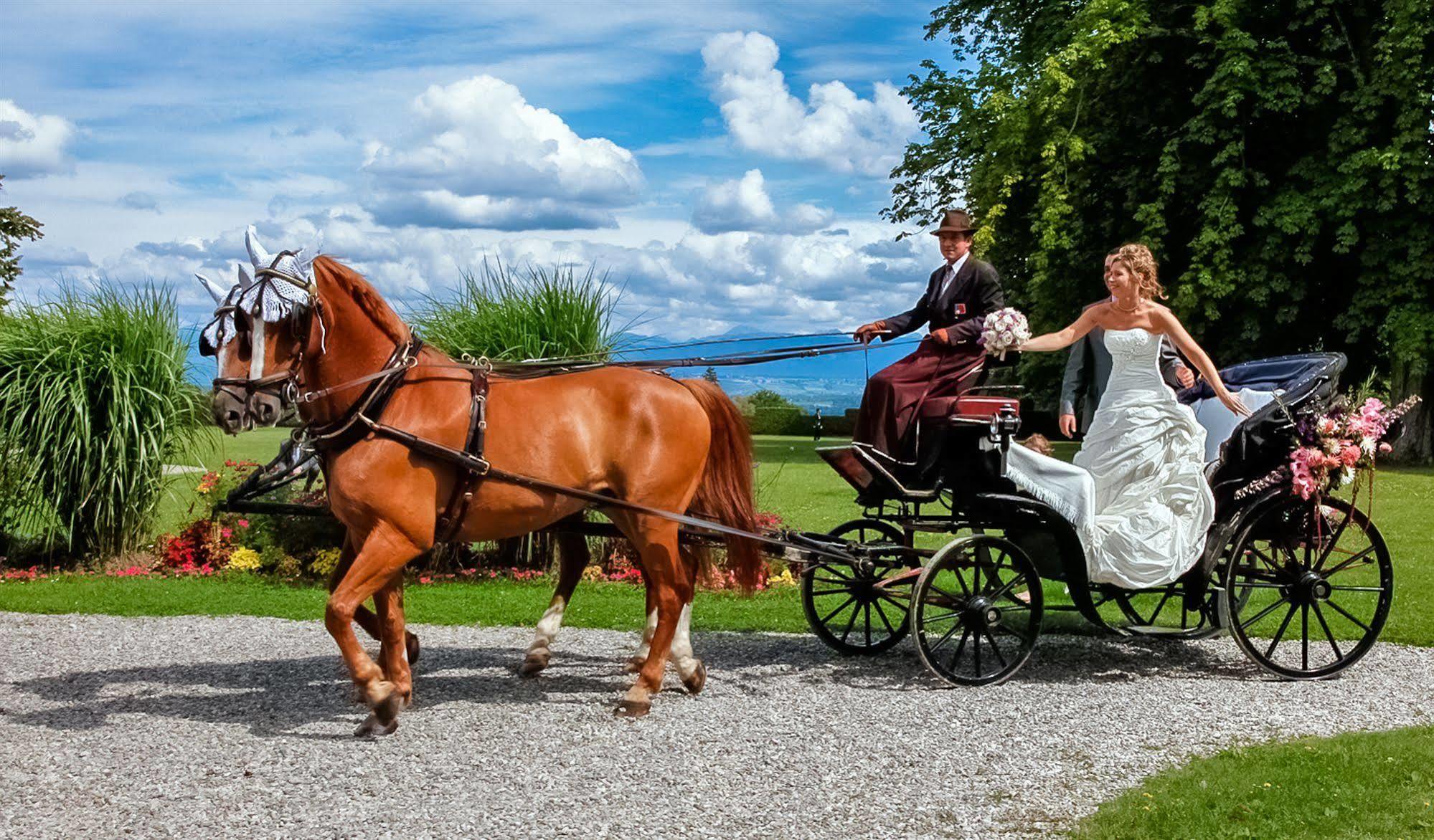 Chateau De Bossey Hotel Bogis-Bossey ภายนอก รูปภาพ